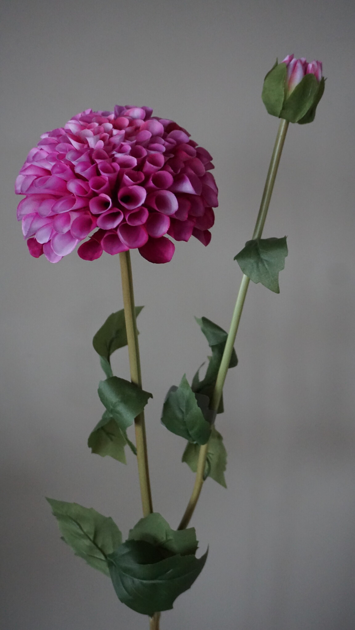 Brynxz Dahlia Kunstbloem | Paars | L74 cm