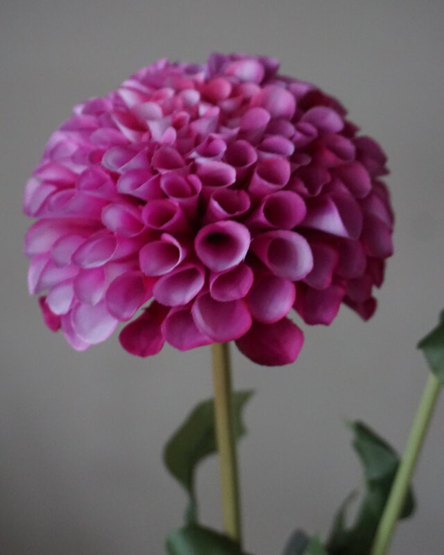 Brynxz Dahlia Kunstbloem | Paars | L74 cm