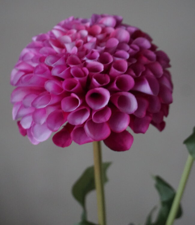 Brynxz Dahlia Kunstbloem | Paars | L74 cm
