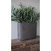 Plantenbak Ovaal | Majestic Bruin | H40xB47xD14 cm