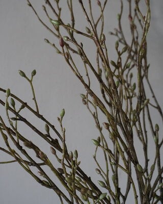 Brynxz Lenteknoppen Kunstplant | Groen | L100 cm