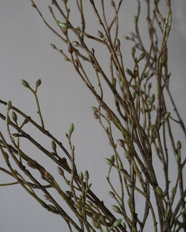 Brynxz Lenteknoppen Kunstplant | Groen | L100 cm