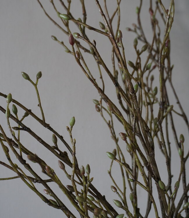 Brynxz Lenteknoppen Kunstplant | Groen | L100 cm