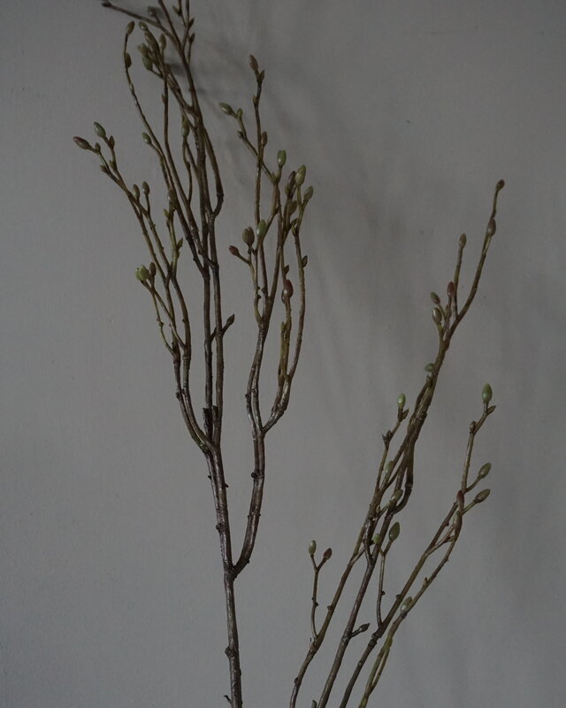 Brynxz Lenteknoppen Kunstplant | Groen | L100 cm