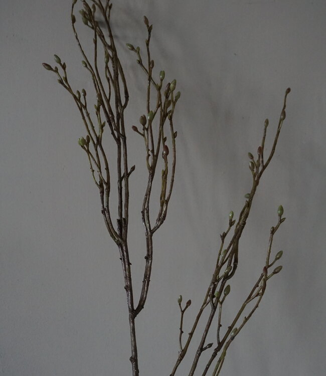 Brynxz Lenteknoppen Kunstplant | Groen | L100 cm