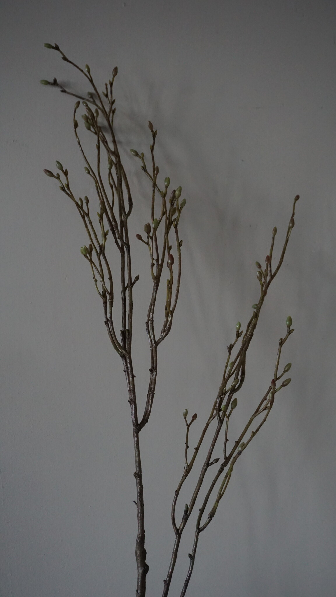 Brynxz Lenteknoppen Kunstplant | Groen | L100 cm