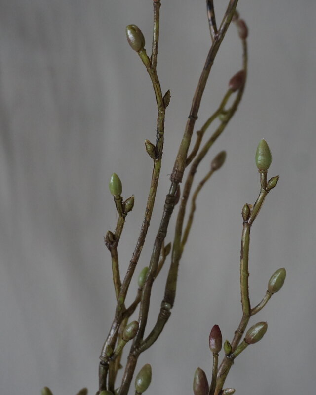 Brynxz Lenteknoppen Kunstplant | Groen | L100 cm