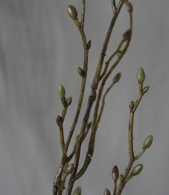 Brynxz Lenteknoppen Kunstplant | Groen | L100 cm