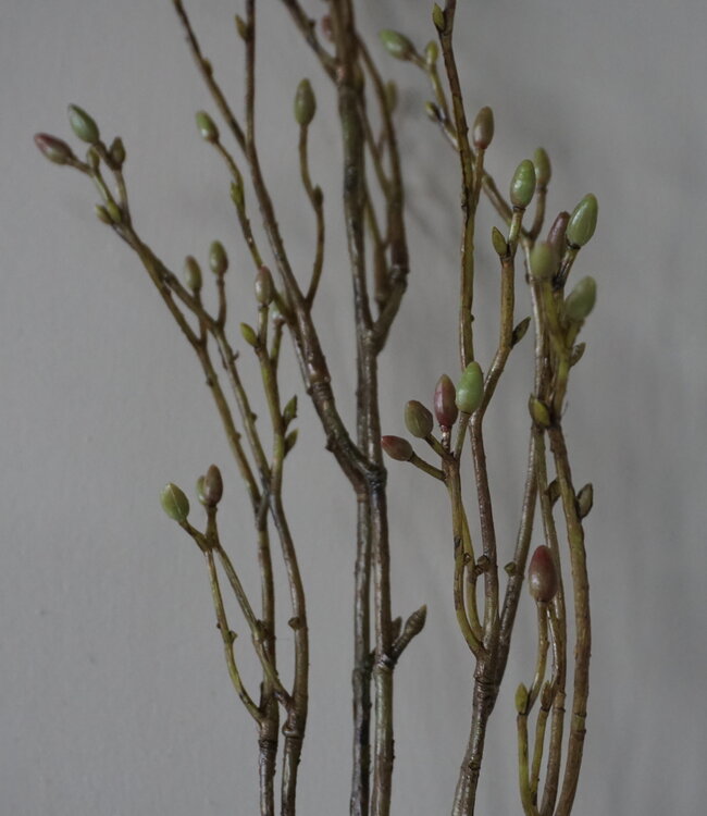 Brynxz Lenteknoppen Kunstplant | Groen | L100 cm