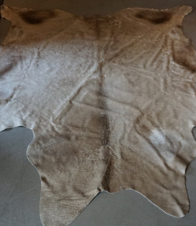 Rene Houtman Koeienhuid Vloerkleed | Beige | L250 x B232 cm