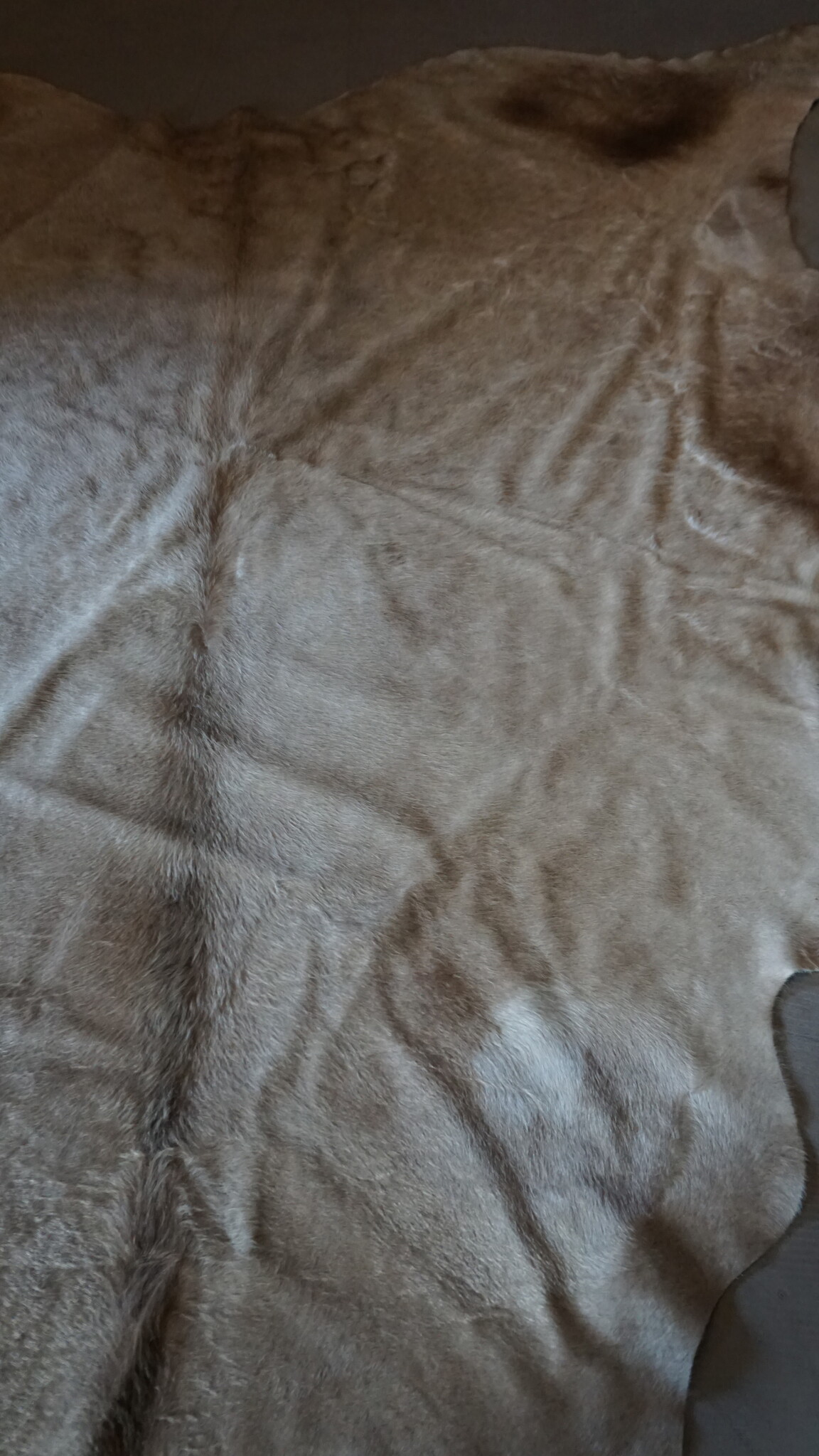 Rene Houtman Koeienhuid Vloerkleed | Beige | L250 x B232 cm