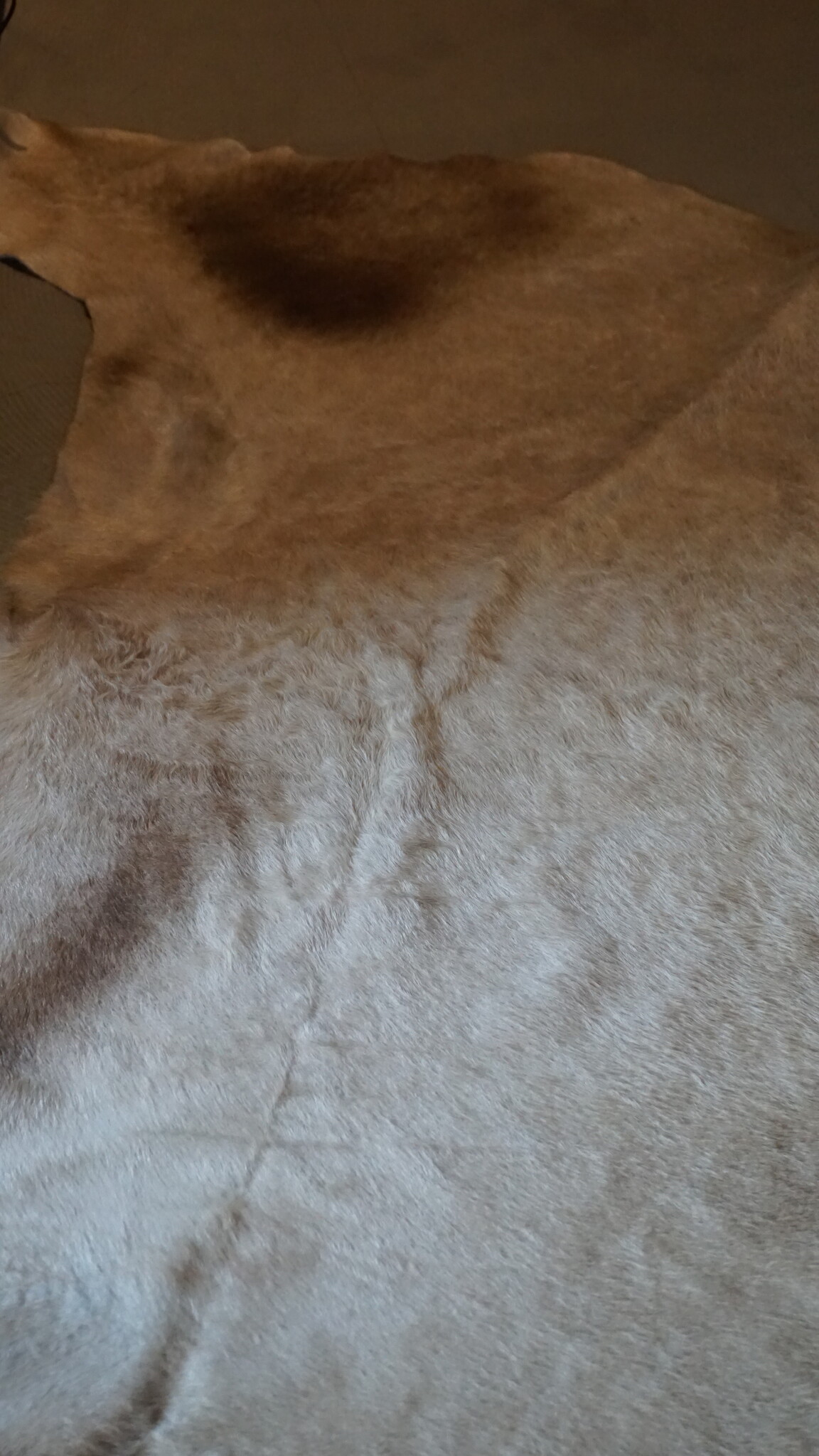 Rene Houtman Koeienhuid Vloerkleed | Beige | L250 x B232 cm