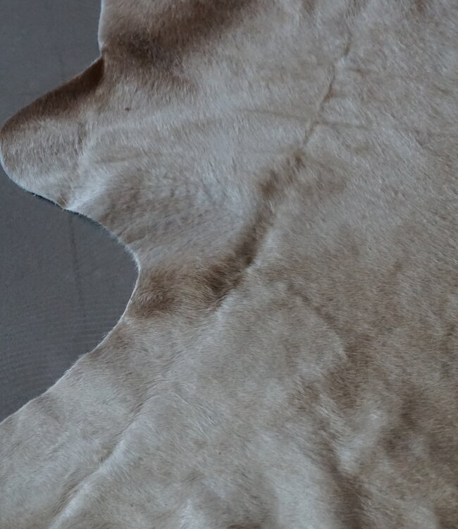 Rene Houtman Koeienhuid Vloerkleed | Beige | L250 x B232 cm