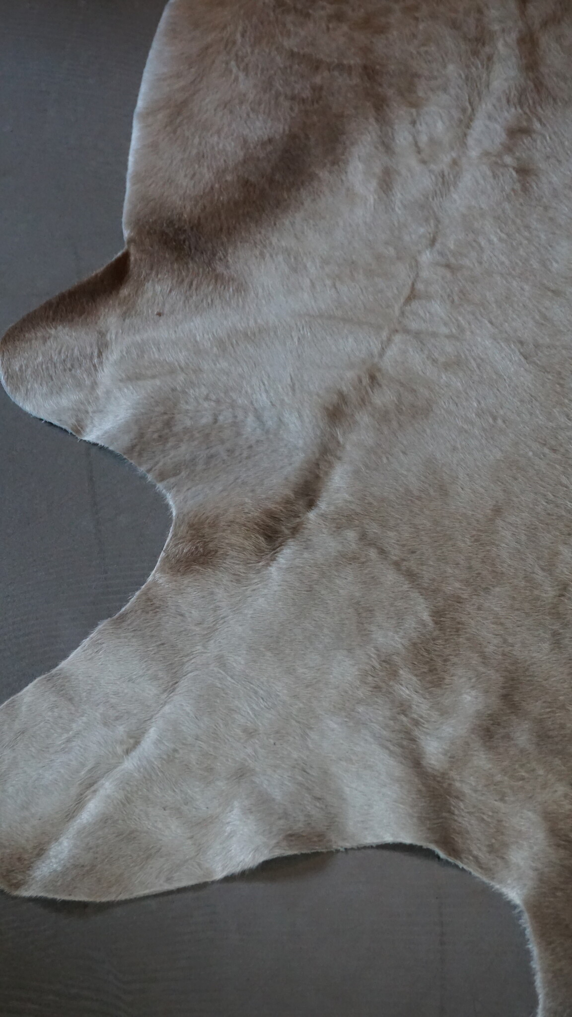 Rene Houtman Koeienhuid Vloerkleed | Beige | L250 x B232 cm