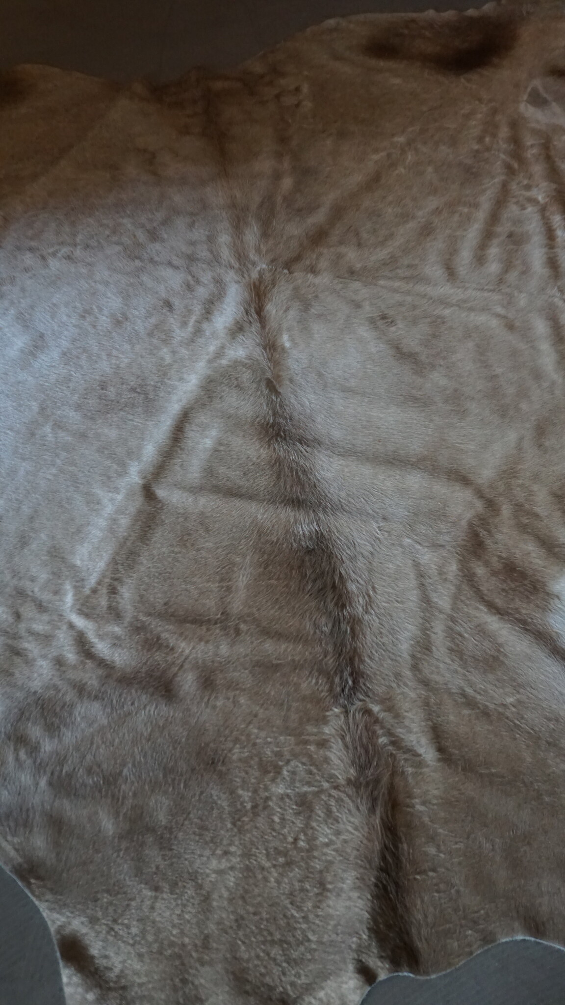 Rene Houtman Koeienhuid Vloerkleed | Beige | L250 x B232 cm