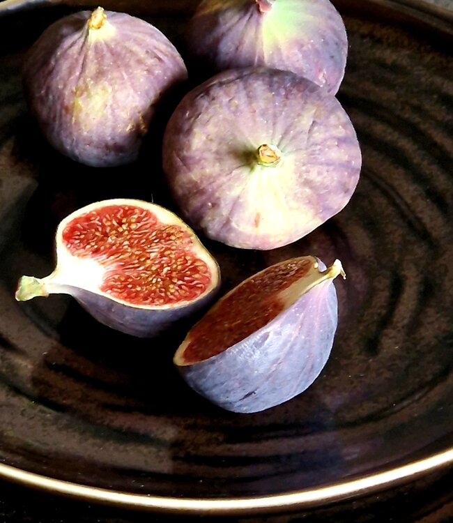 Luksa Home Collection Diepbord Trulli | Donkerbruin | Set Van 2 | H5 x D24,5 cm