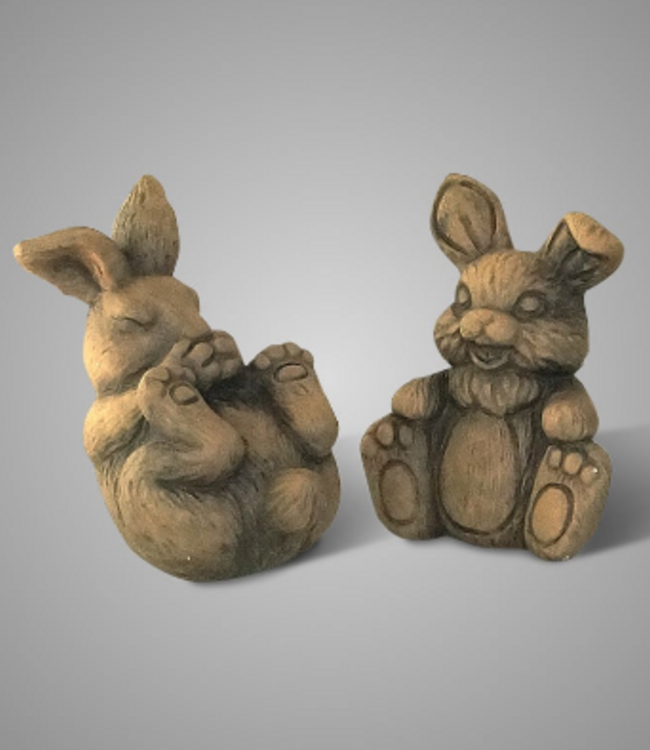 Brynxz Hazen | Set Van 2 | Majestic Brown