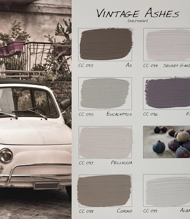 Carte Colori Calcare Italia kalkverf - Pelliccia