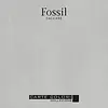 Calcare Italia kalkverf - Fossil