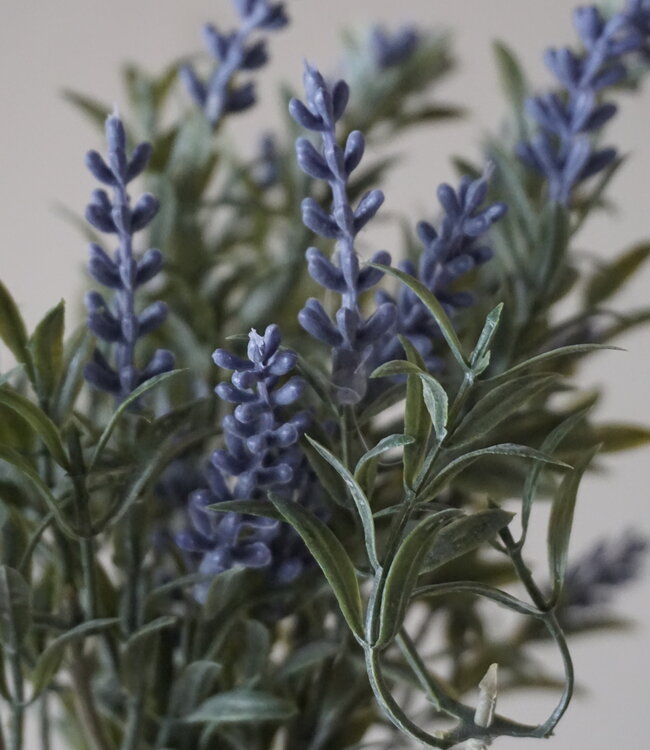 Rene Houtman Kunst Lavendel Bosje | L40 cm