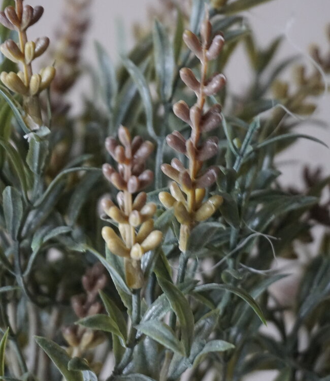 Rene Houtman Kunst Lavendel Bosje | Grijs | L40 cm