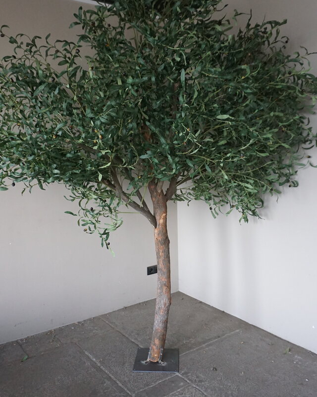 Rene Houtman Kunst Olijfboom | Hout | H250 cm