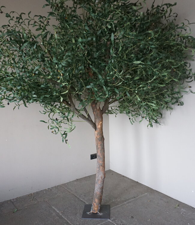 Rene Houtman Kunst Olijfboom | Hout | H250 cm