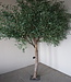 Rene Houtman Kunst Olijfboom | Hout | H250 cm