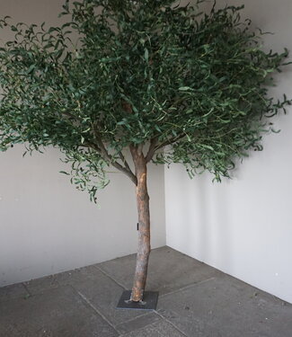 Rene Houtman Kunst Olijfboom | Hout | H250 cm