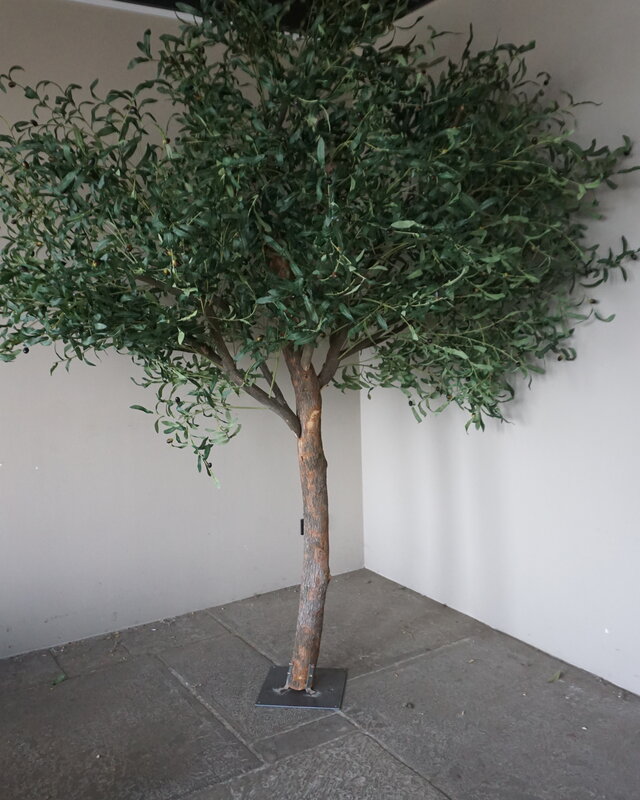 Rene Houtman Kunst Olijfboom | Hout | H250 cm