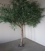 Rene Houtman Kunst Olijfboom | Hout | H250 cm