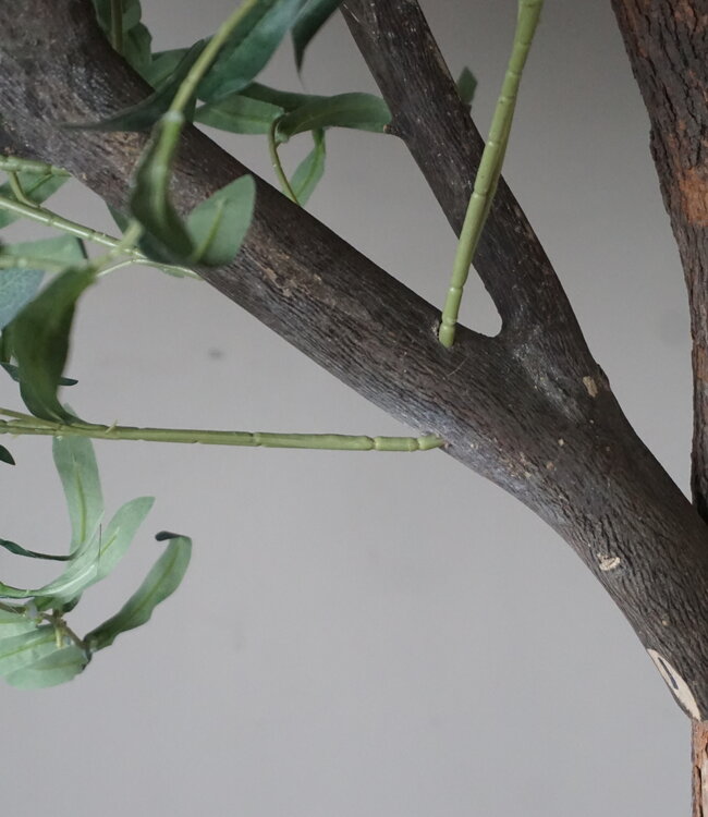 Rene Houtman Kunst Olijfboom | Hout | H250 cm