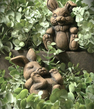 Brynxz Hazen | Set Van 2 | Majestic Brown