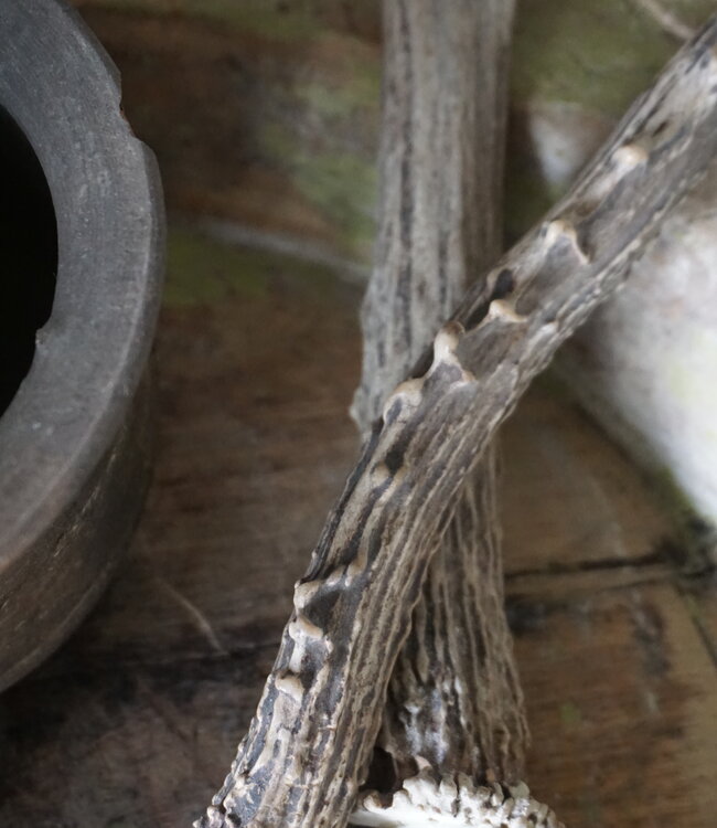 Be-Uniq Chinese Kwast Gewei | L34 cm