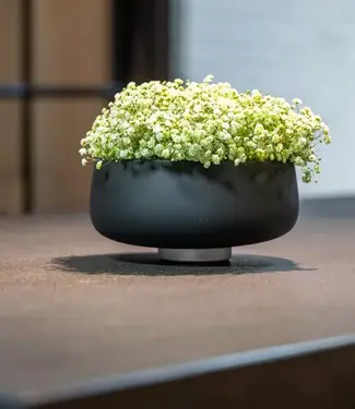 DutZ Schaal Rieky | Grijs Mat | H13 x D26 cm