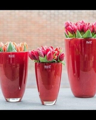 DutZ Bloemenvaas | Rood | H32xD21 cm