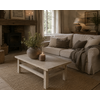 Salontafel | Reclaimed Elm Hout | H43 x B150 x D60 cm