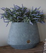 Brynxz Plantenbak Ovaal | Majestic Vintage | H24 x B33 x D20 cm