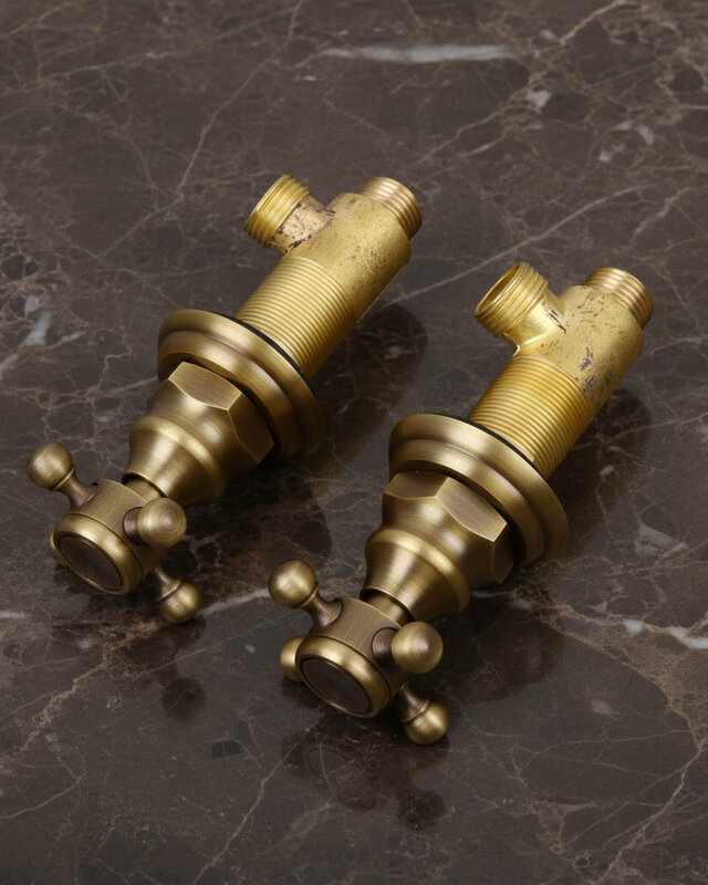 Rene Houtman Antieke Bronzen Inbouw Douche