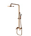 Rene Houtman Rose Gouden Opbouwdouche - Met Handdouche