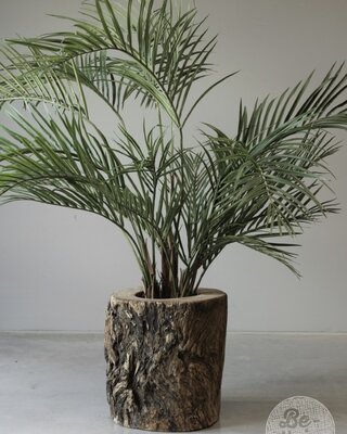 Be-Uniq Plantenbak Boomstam | India | H47xB47xD49 cm