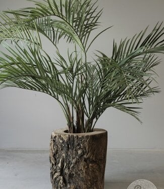 Be-Uniq Plantenbak Boomstam | India | H47xB47xD49 cm