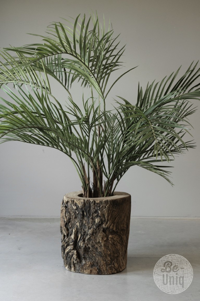 Be-Uniq Plantenbak Boomstam | India | H47xB47xD49 cm