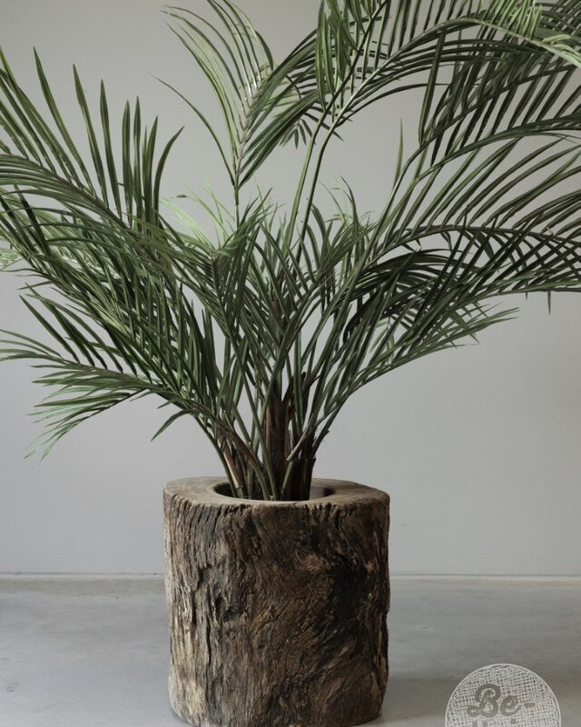 Be-Uniq Plantenbak Boomstam | India | H47xB47xD49 cm