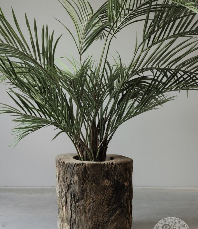 Be-Uniq Plantenbak Boomstam | India | H47xB47xD49 cm