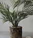 Be-Uniq Plantenbak Boomstam | India | H47xB47xD49 cm