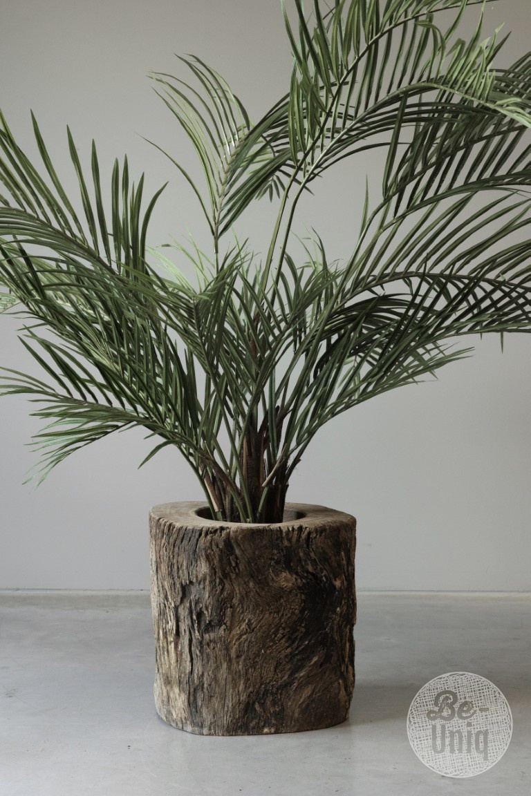 Be-Uniq Plantenbak Boomstam | India | H47xB47xD49 cm