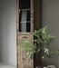 Be-Uniq Vitrinekast Tucson | Links | H225xB60xD40 cm