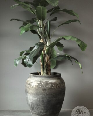 Be-Uniq Unieke Oude Pot | China | H80 x D65 cm