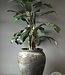 Be-Uniq Unieke Oude Pot | China | H80 x D65 cm